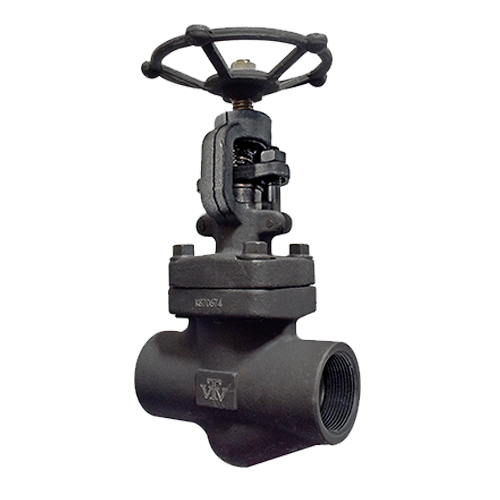Jual Forged Steel Globe Valve di Aceh
