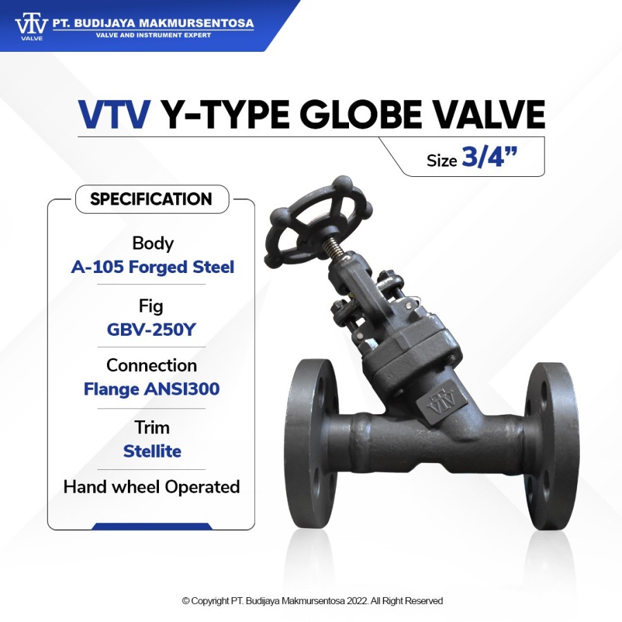 VTV Y Type Globe Valve ANSI 300 - 3/4 Inch