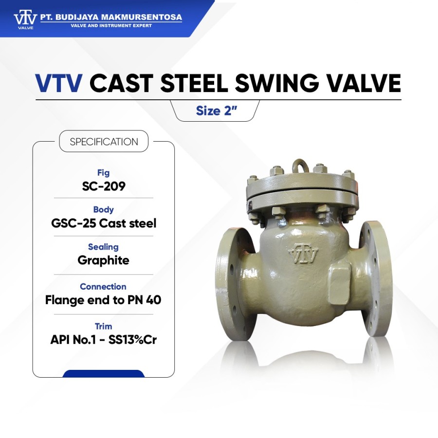 VTV Cast Steel Swing Check Valve PN40 - Size 2 Inch