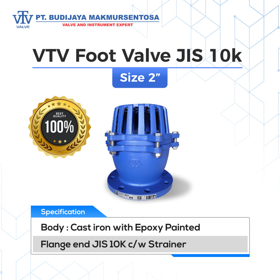 VTV Foot Valve Cast Iron JIS10K - 2 Inch